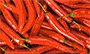 Play Webmovie FrymaKoruma