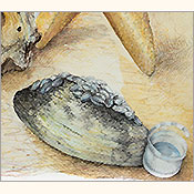 Strandgut, Detail 2